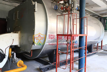 WNS series condensing steam boiler